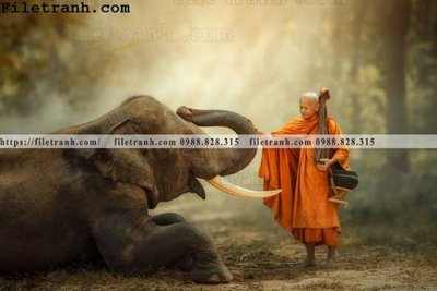 File gốc tranh con voi 134 (in mica) trang trí