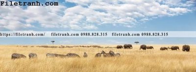 File gốc tranh con voi 135 (thiết kế) cho in ấn