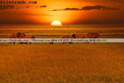 File PSD in ấn tranh con voi 139 (chất lượng cao)