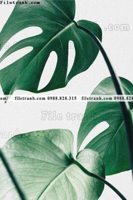 Tải file gốc tranh decor hien dai tong hop 609 (bản PSD) đầy đủ layer