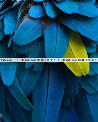 File in mica tranh decor hien dai tong hop 720 (bản gốc) làm vách ngăn