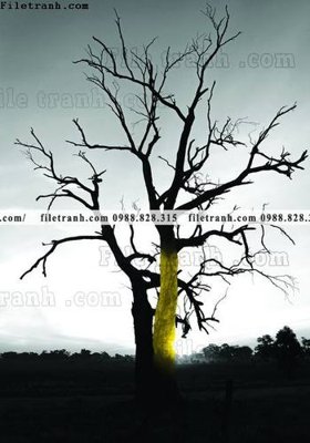 File gốc tranh decor hien dai tong hop 731 (PNG) không nền chất lượng