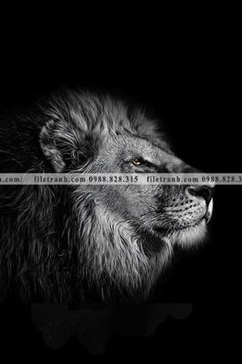 File gốc tranh den trang dong vat 517 (cho in ấn) độc quyền