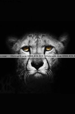 File in trần tranh den trang dong vat 528 (file gốc) hoa văn 3D