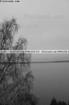 Tải file tranh den trang phong canh 509 (gốc) làm file thiết kế