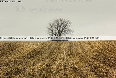 Tải file gốc tranh den trang phong canh 523 (bản PSD) còn layer