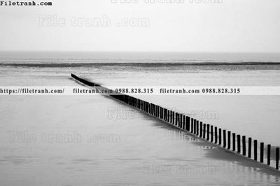 File tranh tranh den trang phong canh 539 (gốc) chủ đề động vật