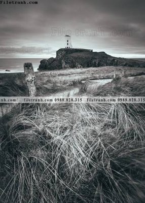 File ảnh gốc tranh den trang phong canh 541 không vỡ nét