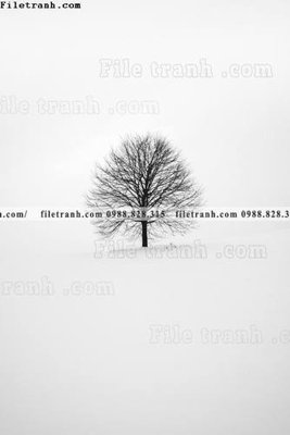 File ảnh tranh den trang phong canh 556 (gốc) in biển hiệu