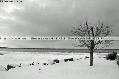 File gốc in ấn tranh den trang phong canh 576 chuẩn màu CMYK