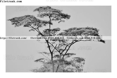 Download file ảnh gốc tranh den trang phong canh 578 để in ấn