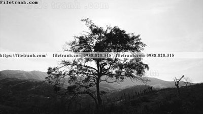 File tranh tranh den trang phong canh 584 (ảnh gốc) độc quyền