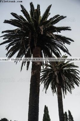 Tải file tranh den trang phong canh 588 (gốc) làm tranh treo tường