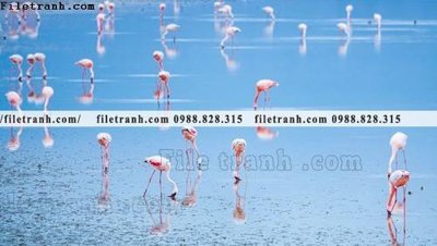 Chi tiết file tranh tráng gương tranh hong hac dep 312 (ảnh gốc)