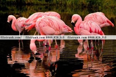 File tranh gốc tranh hong hac dep 337 (bản đẹp) độc quyền