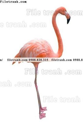 File tranh tranh hong hac dep 384 (bản gốc) in lụa 3D