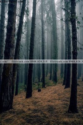 Mua file gốc tranh loi vao phong canh doc 530 (in ấn) tại Filetranh.com