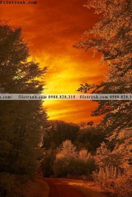 File tranh tranh loi vao phong canh doc 559 (ảnh gốc) không bị mờ