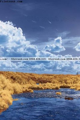 File gốc in ấn tranh loi vao phong canh doc 569 (sẵn sàng tải về)