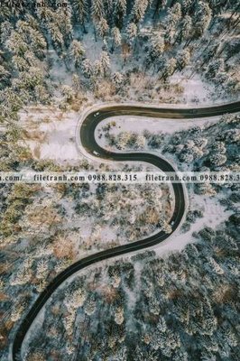 File ảnh tranh loi vao phong canh doc 580 (gốc) cho trang trí nhà hàng