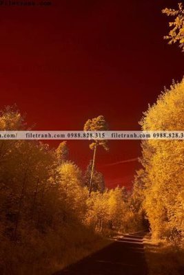 File PSD tranh loi vao phong canh doc 581 (bản gốc) chất lượng nhất