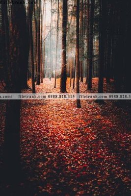 File tranh tranh loi vao phong canh doc 582 (gốc) chủ đề trừu tượng