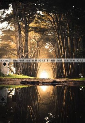 Tải file tranh loi vao phong canh doc 587 (gốc) chủ đề tâm linh