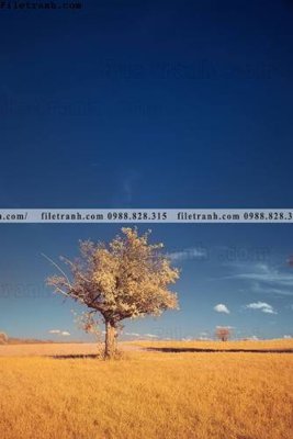 File gốc tranh loi vao phong canh doc 589 (PSD/TIFF) độ phân giải cao