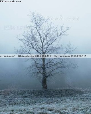 File gốc tranh loi vao phong canh doc 611 (cho in ấn) độc quyền