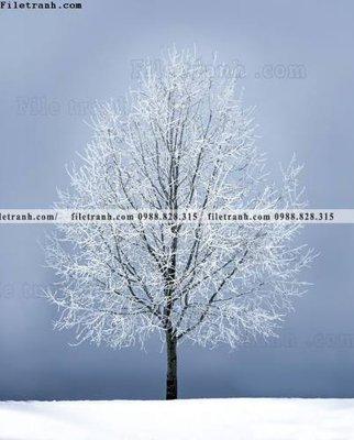 Tải file gốc in lụa tranh loi vao phong canh doc 612 siêu nét