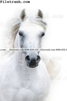 Hình ảnh file gốc tranh ngua hien dai truu tuong 103 (chất lượng cao)