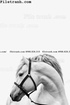 File gốc in tráng gương tranh ngua hien dai truu tuong 124 chi tiết