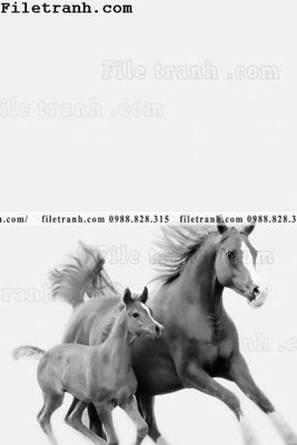 File gốc tranh ngua hien dai truu tuong 125 (cho in ấn) từ kho Filetranh