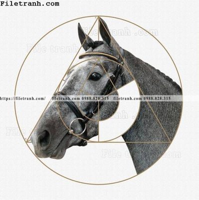 Download file tranh ngua hien dai truu tuong 133 (gốc) cho xưởng in