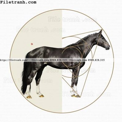 Tải file tranh ngua hien dai truu tuong 134 (gốc) làm file quảng cáo