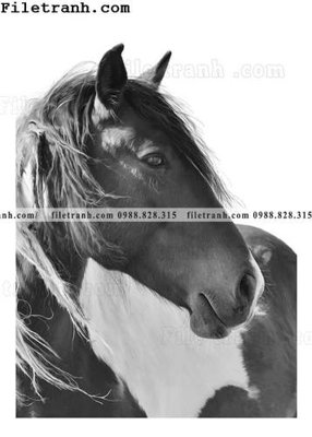 File in mica tranh ngua hien dai truu tuong 136 (ảnh gốc) đẹp