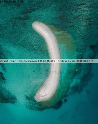 Tải file gốc tranh phong canh rung loi vao 500 (bản PSD) chỉnh sửa được