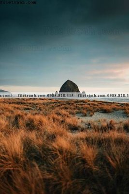 Tải file PSD tranh phong canh rung loi vao 515 (nguyên layer) để in