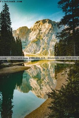 File in ấn tranh phong canh rung loi vao 518 (bản gốc) sắc nét