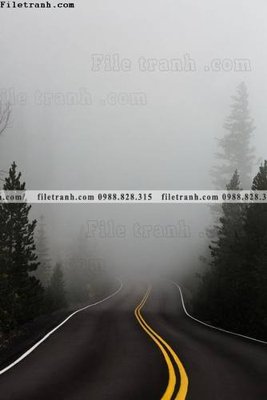 File gốc tranh phong canh rung loi vao 541 (trang trí) phòng làm việc