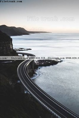 File in ấn tranh phong canh rung loi vao 543 (bản gốc) chất lượng cao