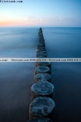 File gốc in ấn tranh phong canh rung loi vao 556 chất lượng vượt trội