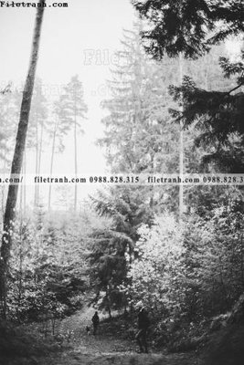 File in trần tranh phong canh rung loi vao 565 (file gốc) phong thủy