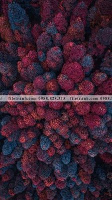 Tải file tranh phong canh rung loi vao 567 (ảnh gốc) in gạch 3D