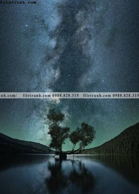 File in mica tranh phong canh rung loi vao 581 (bản gốc) siêu trong