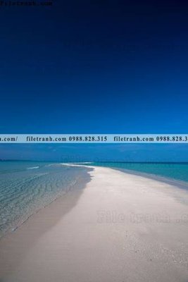 File tranh in tráng gương tranh phong canh rung loi vao 600 (siêu nét)