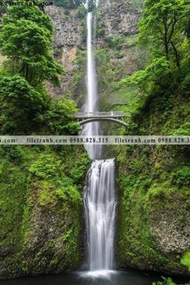 File tranh tranh phong canh rung loi vao 620 (gốc) in film