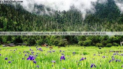 File in trần tranh phong canh tay tang 210 (bản gốc 3D) sống động