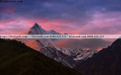 File gốc tranh phong canh tay tang 242 (dành cho quảng cáo)