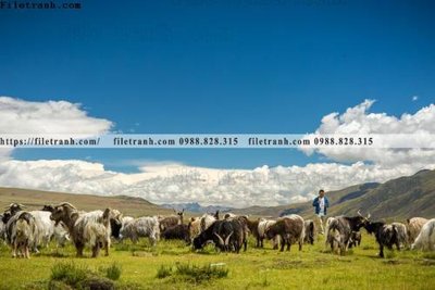 File tranh tranh phong canh tay tang 297 (file gốc) chủ đề phong thủy